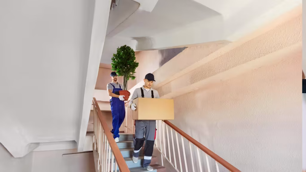 qualifiziertes-logistik-keller-bild